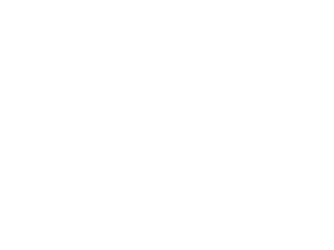 Endor Health — Growth Strategy, Performance Marketing & SEO Endor Health logo