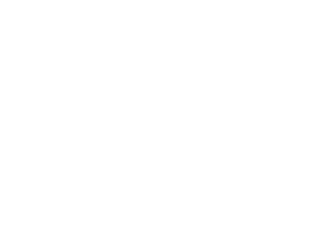 The Curling Group — Growth Strategy & Performance Marketing The Curling Group logo