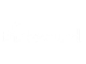 Thinksound — Growth Strategy, SEO, CRO & Performance Marketing Thinksound logo