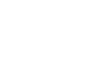 Willful — Performance Marketing Willful logo